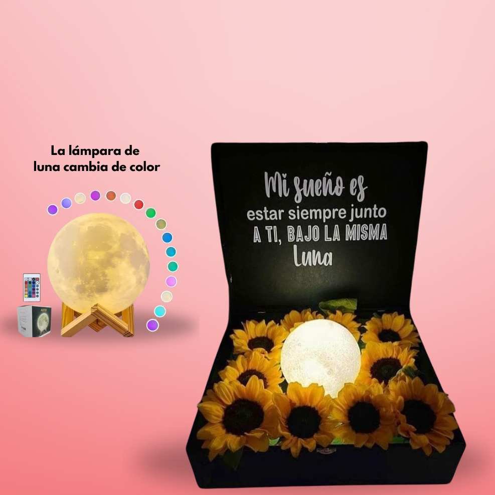 Arreglo con Lampara "Te Bajo la Luna"